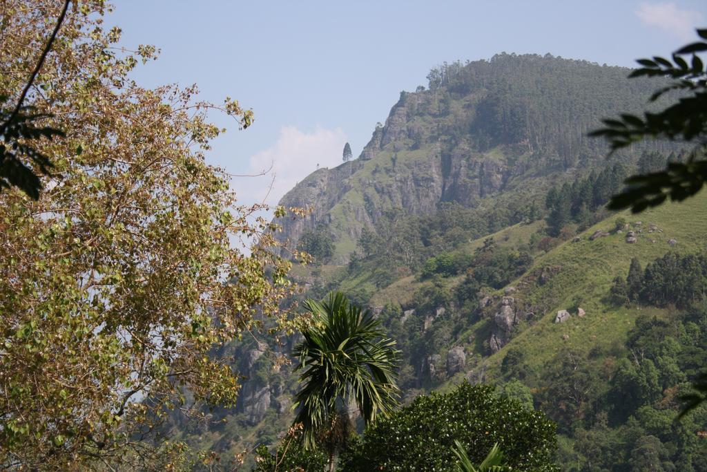 Village View Homestay Ella Bagian luar foto