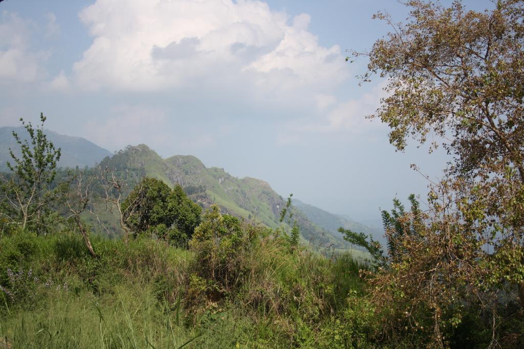 Village View Homestay Ella Bagian luar foto
