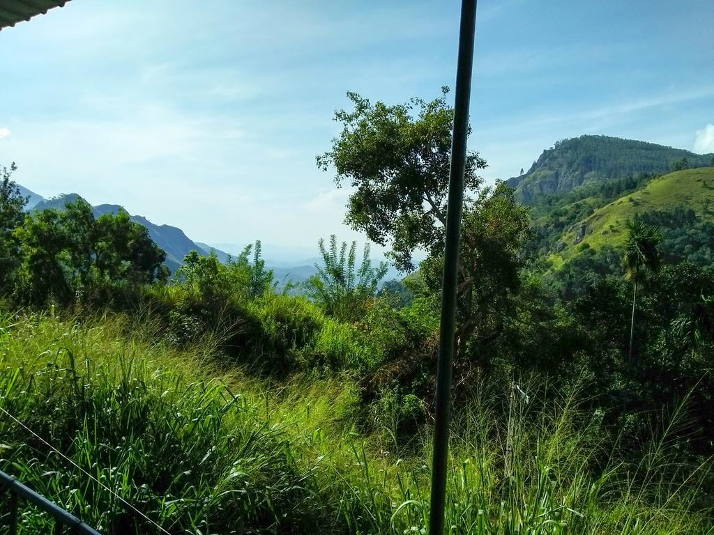 Village View Homestay Ella Bagian luar foto