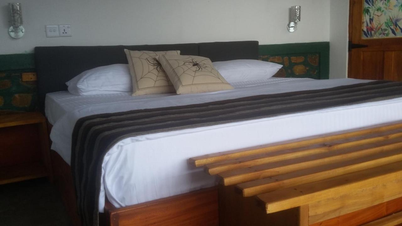 Village View Homestay Ella Bagian luar foto