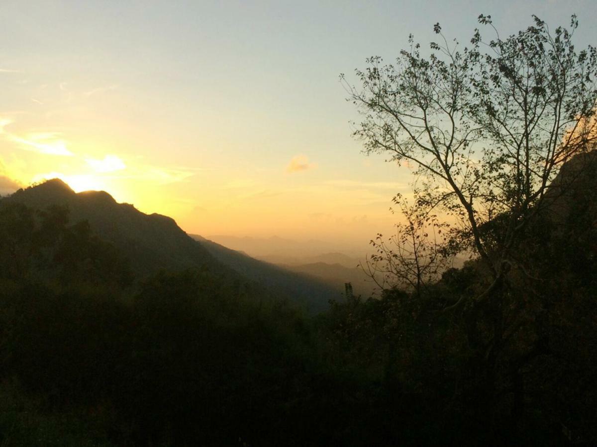 Village View Homestay Ella Bagian luar foto