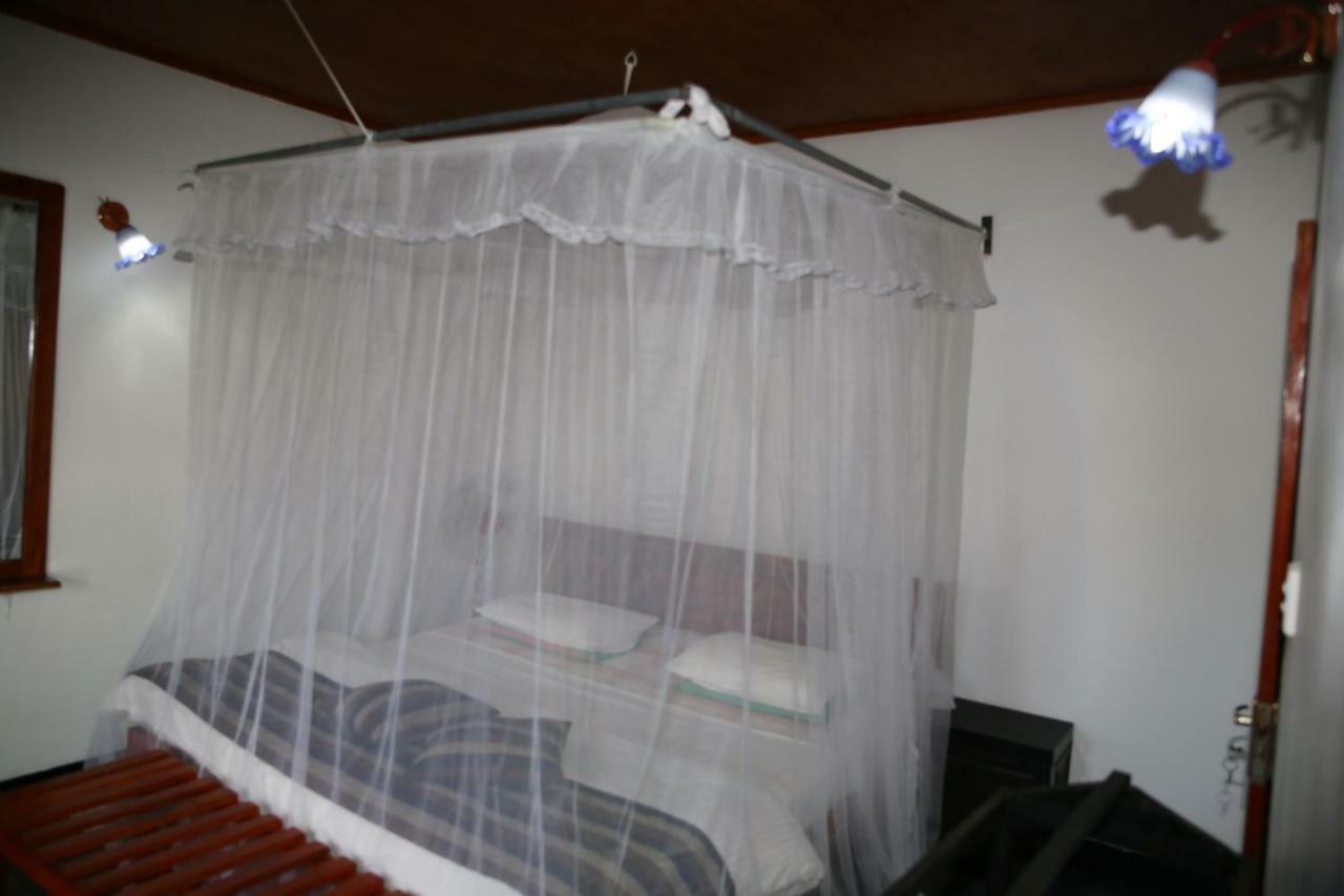 Village View Homestay Ella Bagian luar foto
