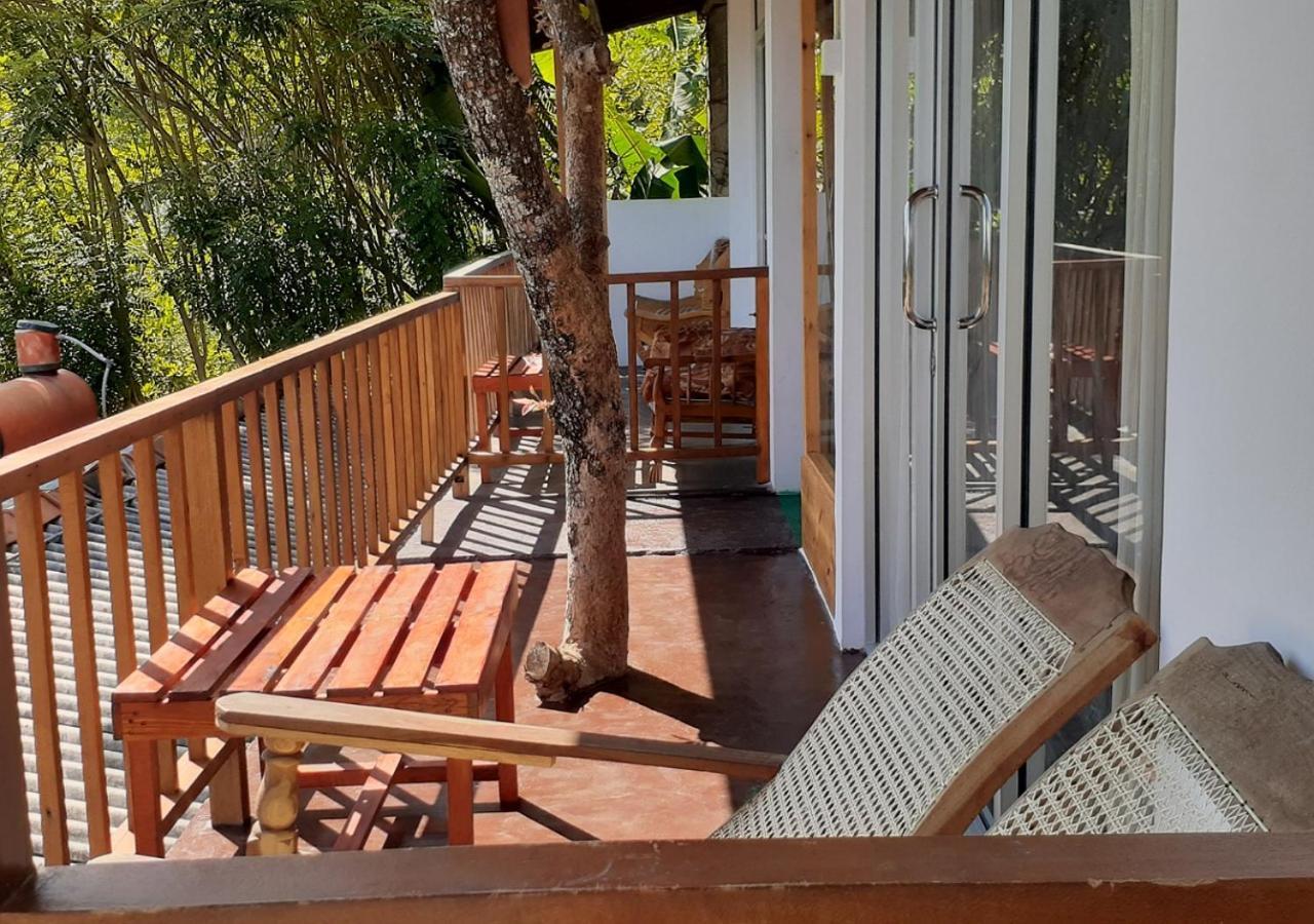 Village View Homestay Ella Bagian luar foto